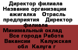 Директор филиала › Название организации ­ Zажигалка › Отрасль предприятия ­ Директор филиала › Минимальный оклад ­ 1 - Все города Работа » Вакансии   . Калужская обл.,Калуга г.